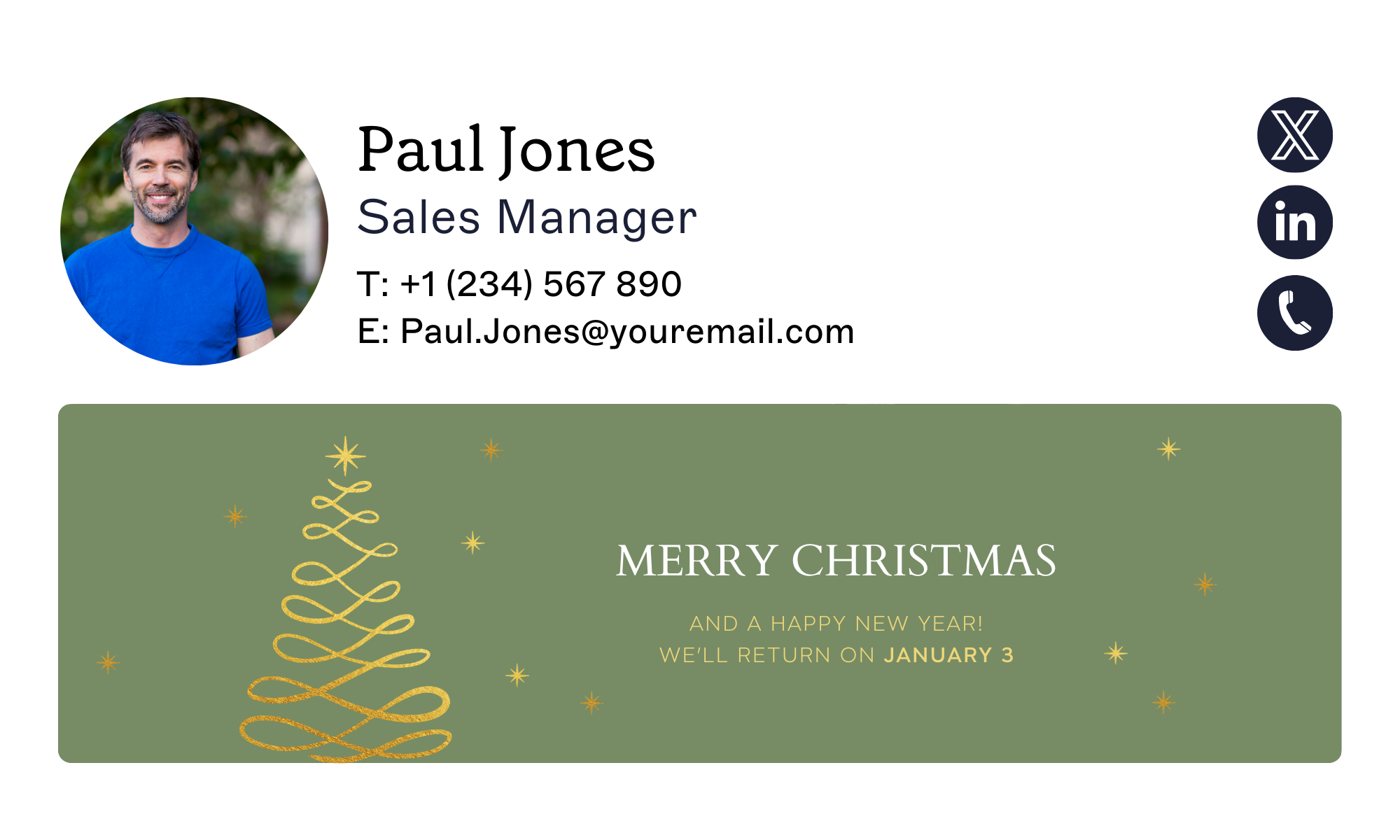 christmas email signature variant