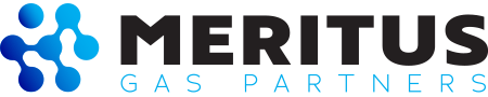 Meritus logo